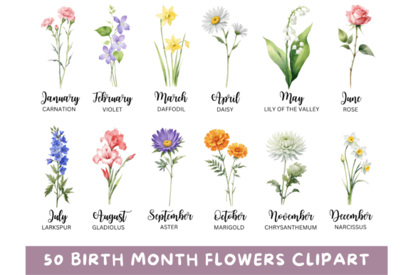 50 Watercolor Birth Month Flowers PNG: Beyond the Font